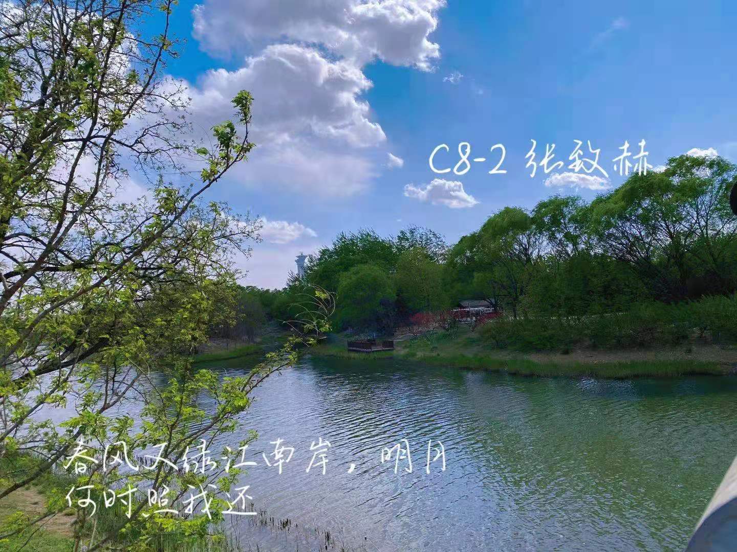 565c695786f9a3885de864b2ce50290