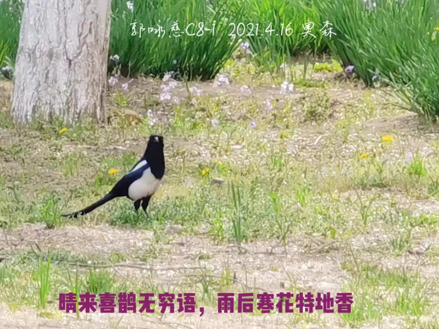 14023934f90be2c39b10a89441986f4